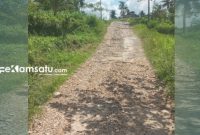 RUSAK: Potret salah satu jalan di Desa Lebeng Timur, Kecamatan Pasongsongan, Kabupaten Sumenep mengalami kerusakan yang parah dan terkesan ada pembiaran (dok. Istimewa/Redaksi Rekam Satu)