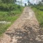RUSAK: Potret salah satu jalan di Desa Lebeng Timur, Kecamatan Pasongsongan, Kabupaten Sumenep mengalami kerusakan yang parah dan terkesan ada pembiaran (dok. Istimewa/Redaksi Rekam Satu)