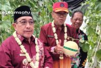PROFIL: Wabup Sumenep KH Imam Hasyim meninjau lokasi Smart Farming Hortikultura di Kecamatan Manding (dok: istimewa/Redaksi Rekam Satu)