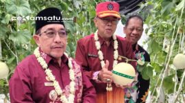 PROFIL: Wabup Sumenep KH Imam Hasyim meninjau lokasi Smart Farming Hortikultura di Kecamatan Manding (dok: istimewa/Redaksi Rekam Satu)