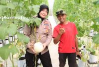 PROFIL: Khalik (kanan), petani milenial asal Kecamatan Manding sukses budidaya melon dengan metode Machida ala Jepang (dok: istimewa/Redaksi Rekam Satu)