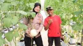 PROFIL: Khalik (kanan), petani milenial asal Kecamatan Manding sukses budidaya melon dengan metode Machida ala Jepang (dok: istimewa/Redaksi Rekam Satu)