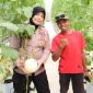 PROFIL: Khalik (kanan), petani milenial asal Kecamatan Manding sukses budidaya melon dengan metode Machida ala Jepang (dok: istimewa/Redaksi Rekam Satu)