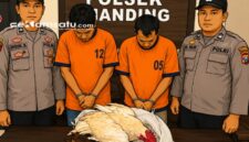 ILUSTRASI: Dua terduga pelaku pencurian ayam diamankan polisi (dok: Redaksi Rekam Satu)