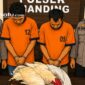 ILUSTRASI: Dua terduga pelaku pencurian ayam diamankan polisi (dok: Redaksi Rekam Satu)